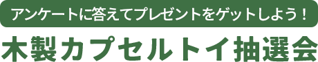 アンケートに答えてプレゼントをゲットしよう！ 木製カプセルトイ抽選会